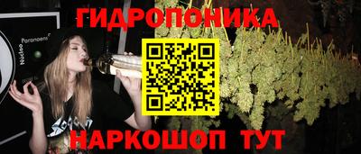 винт Можга