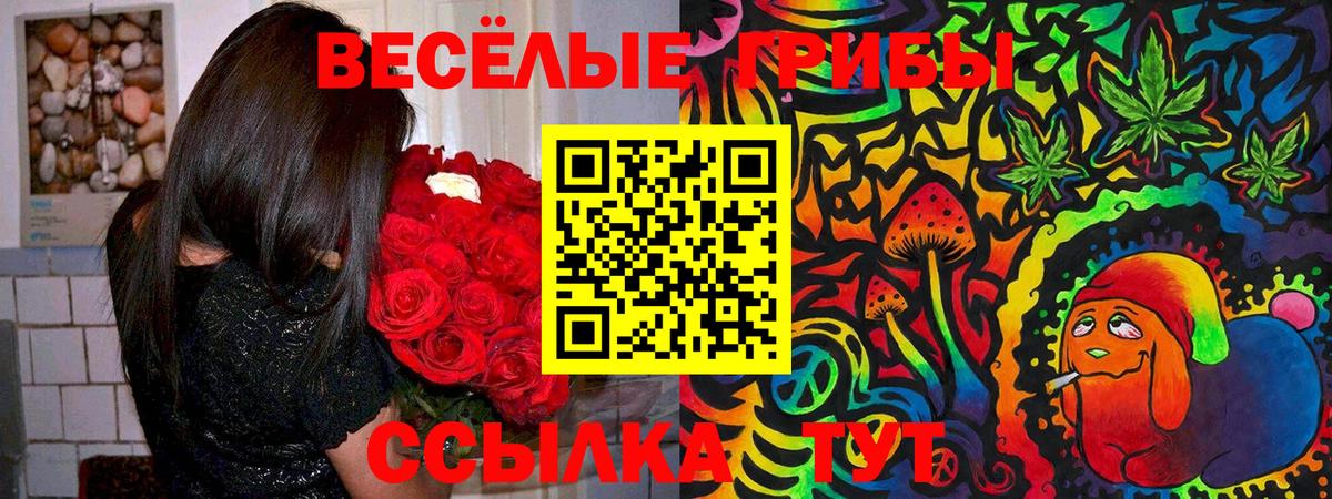 Галлюциногенные грибы мухоморы Горно-Алтайск