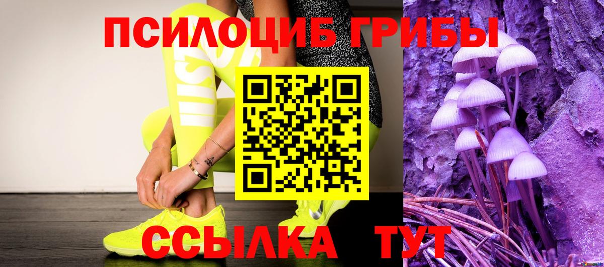 Горно-Алтайск  наркота  Псилоцибиновые грибы MAGIC MUSHROOMS  Вход с VPN  Галлюциногенные грибы Magic Shrooms 